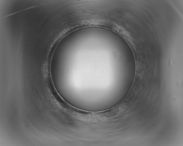 X0000073870012200608101521