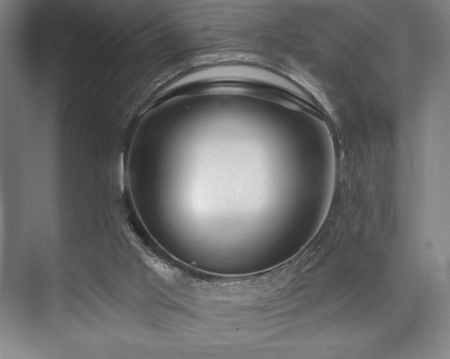 X0000073870013200608101521