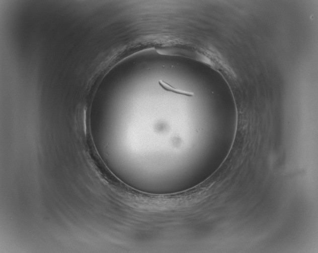 X0000073870014200608101521