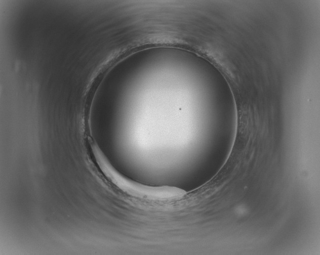 X0000073870015200608101521