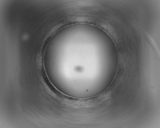 X0000073870016200608101521