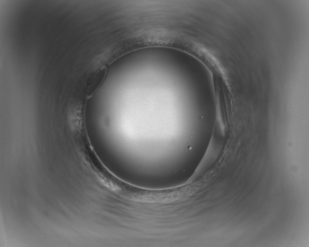 X0000073870017200608101521