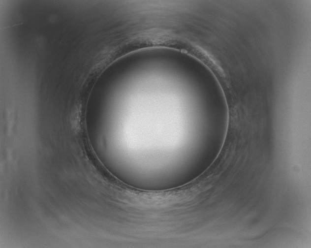 X0000073870018200608101521