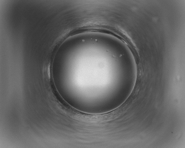 X0000073870019200608101521