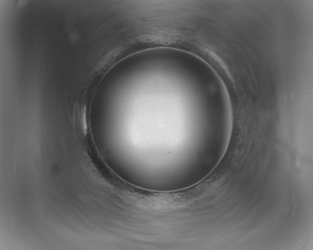 X0000073870020200608101521