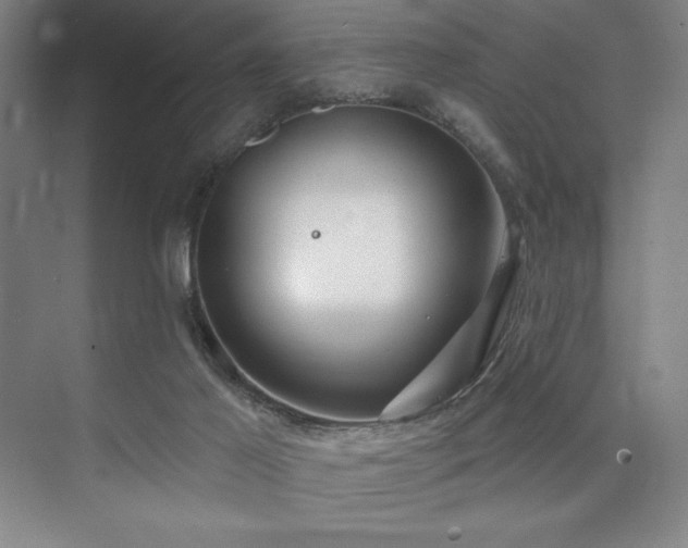 X0000073870021200608101521