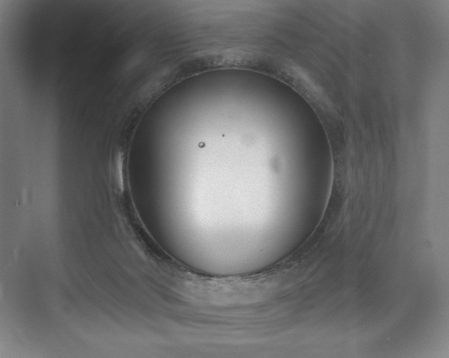 X0000073870022200608101521