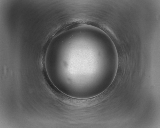 X0000073870023200608101521