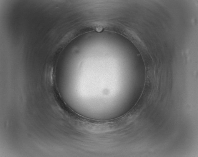 X0000073870024200608101521