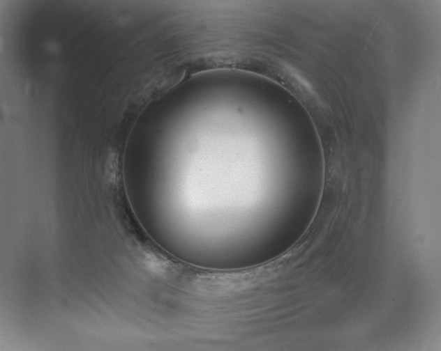 X0000073870025200608101521