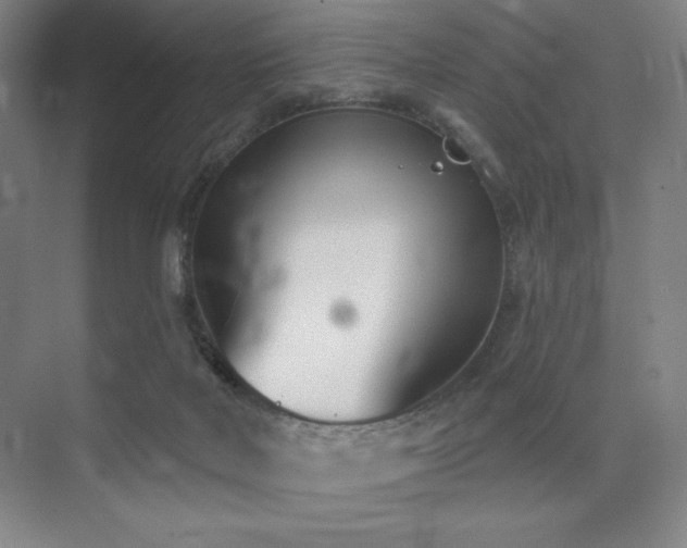 X0000073870026200608101521