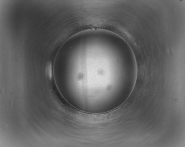 X0000073870027200608101521