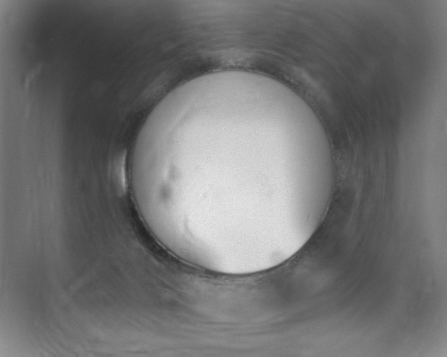 X0000073870028200608101521