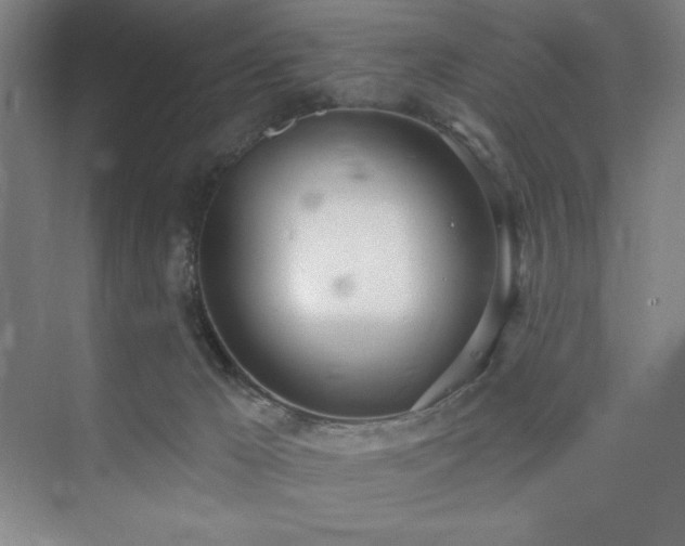 X0000073870029200608101521