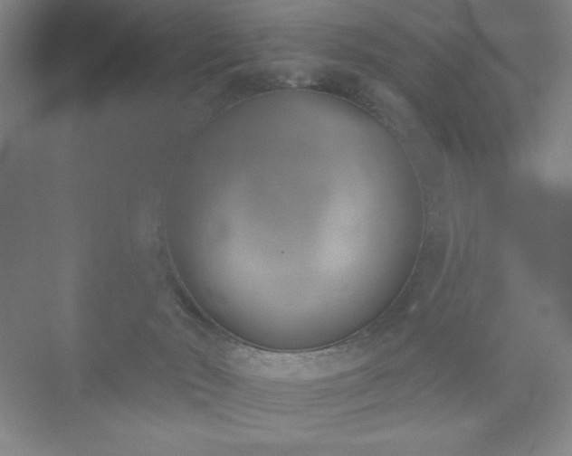 X0000073870030200608101521