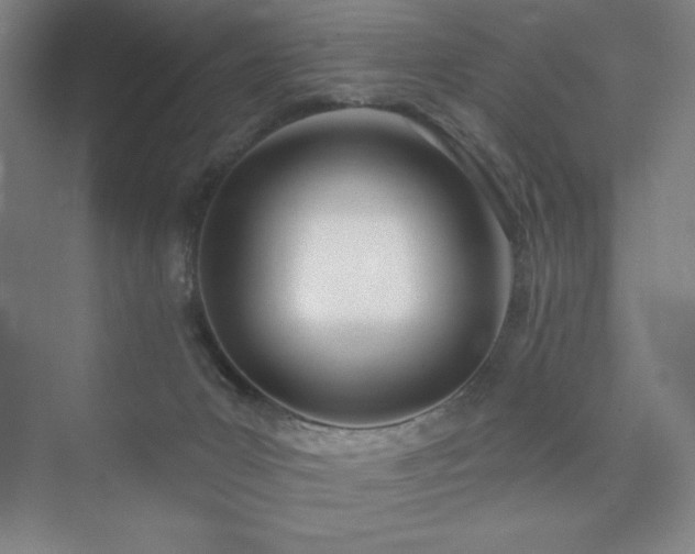 X0000073870031200608101521