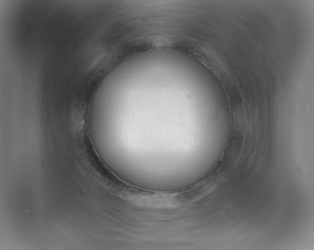 X0000073870032200608101521