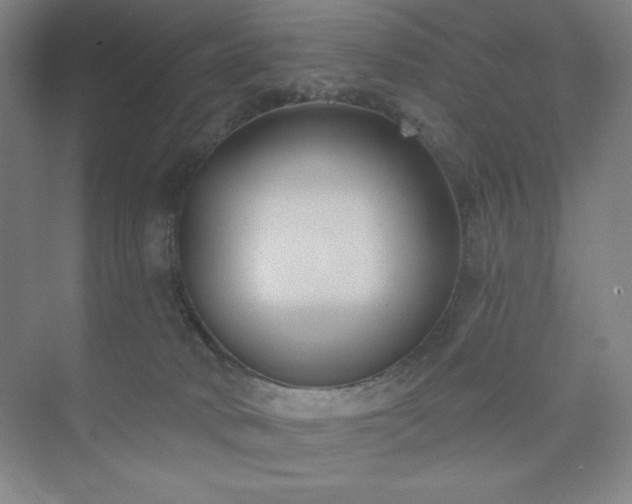 X0000073870034200608101521