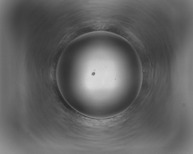 X0000073870035200608101521