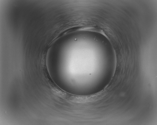 X0000073870037200608101521