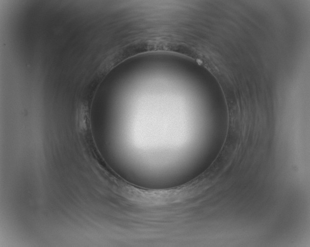 X0000073870038200608101521