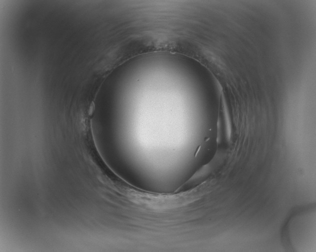 X0000073870039200608101521