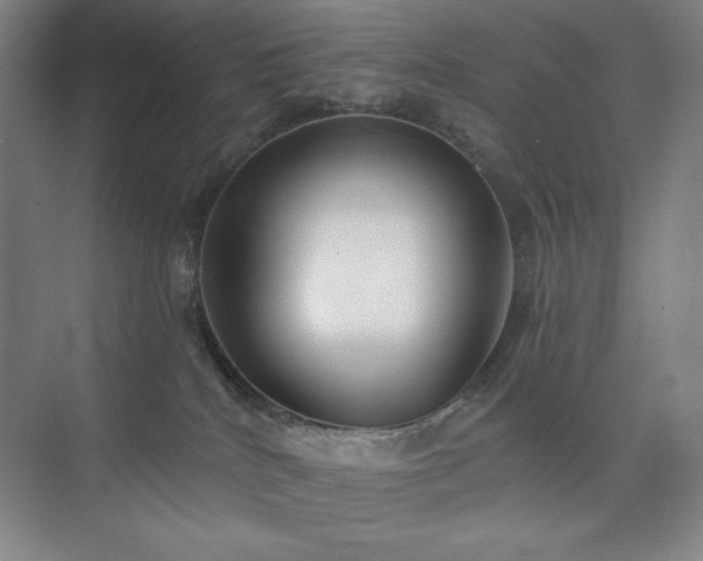 X0000073870040200608101521