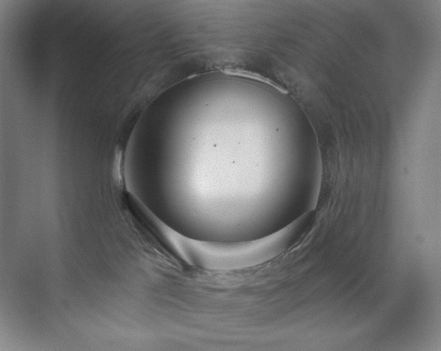 X0000073870041200608101521