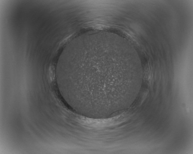 X0000073870043200608101521