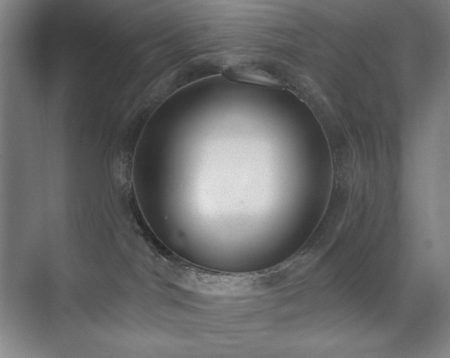 X0000073870044200608101521