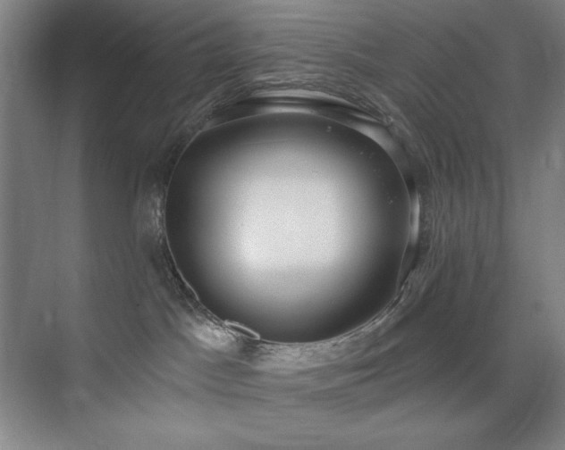 X0000073870045200608101521