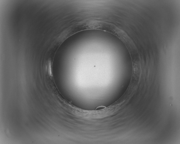 X0000073870046200608101521