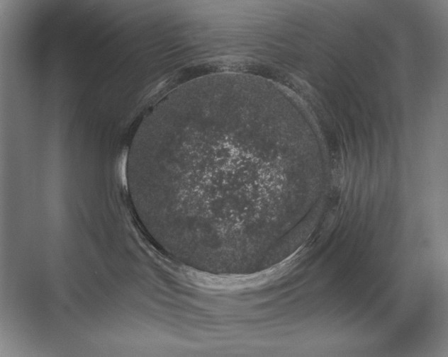 X0000073870047200608101521