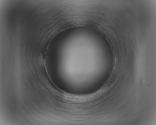 X0000073870048200608101521