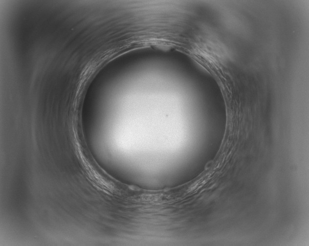 X0000073870049200608101520