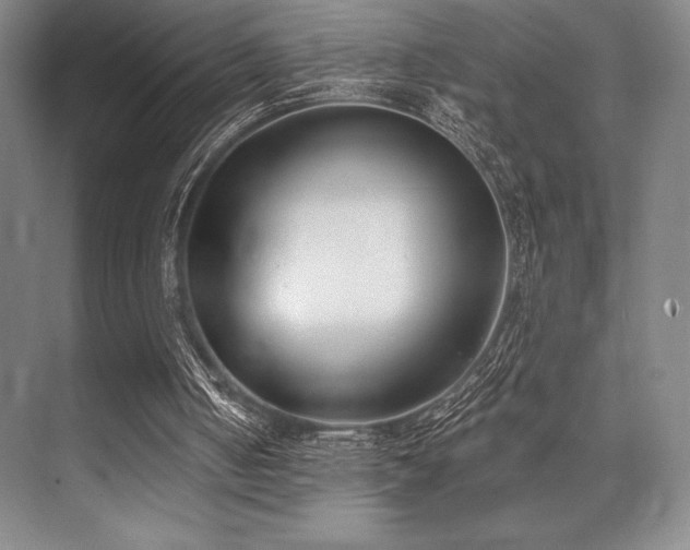 X0000073870050200608101520