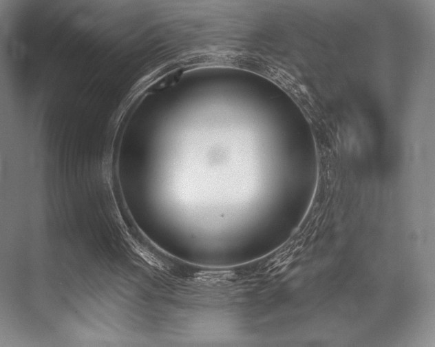 X0000073870051200608101520