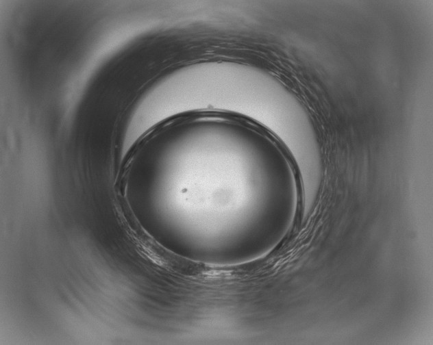 X0000073870052200608101520