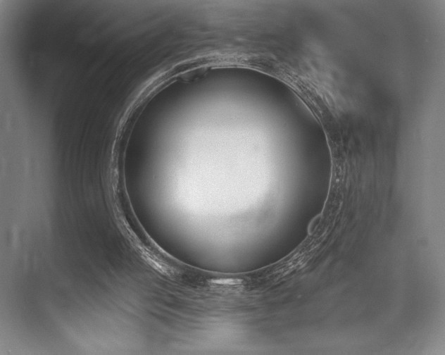 X0000073870053200608101520