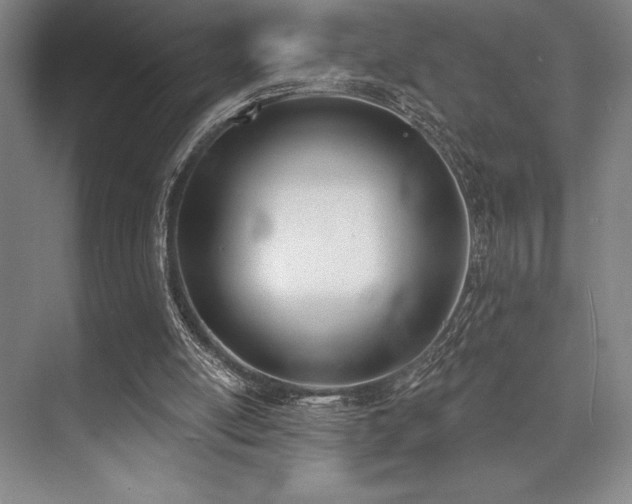 X0000073870054200608101520