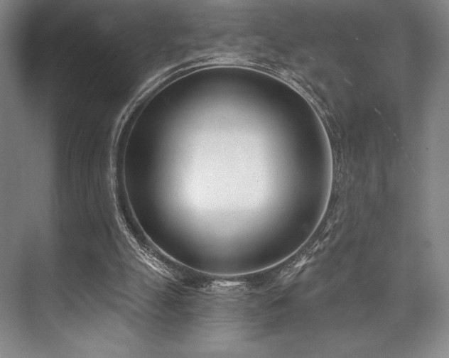 X0000073870055200608101520