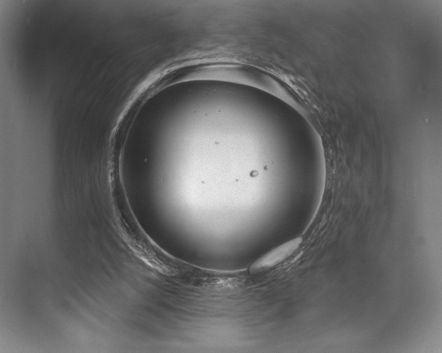 X0000073870056200608101520