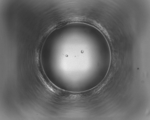 X0000073870057200608101520