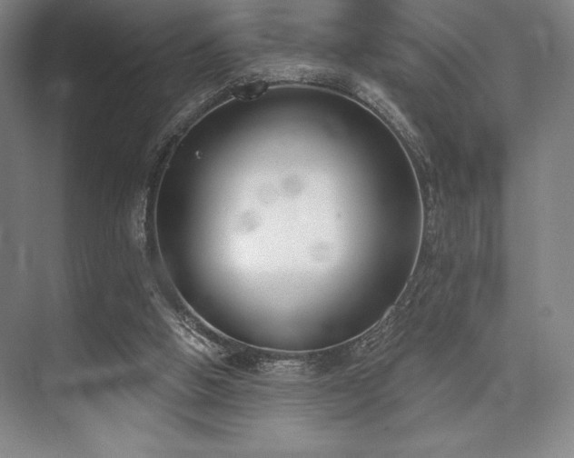 X0000073870058200608101520