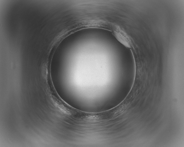 X0000073870059200608101520