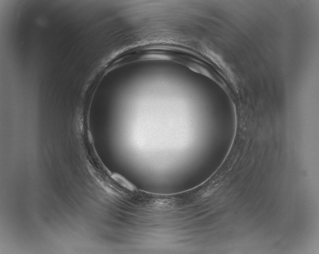 X0000073870060200608101520