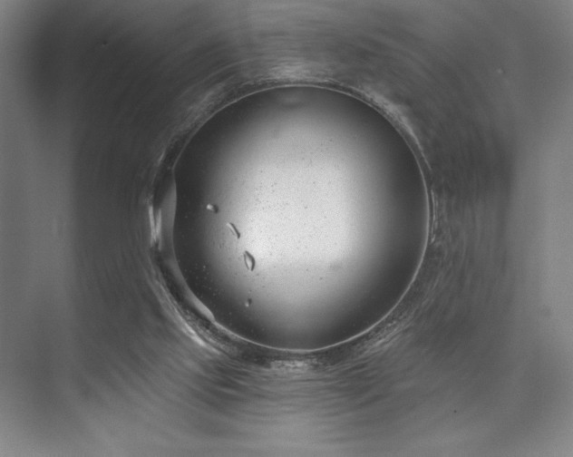 X0000073870061200608101520