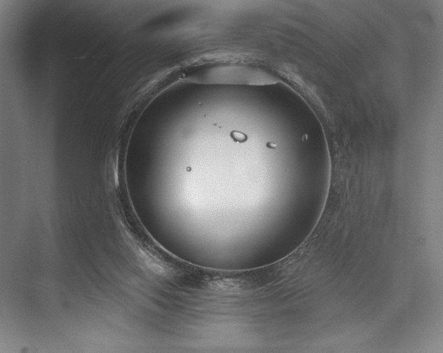 X0000073870062200608101520