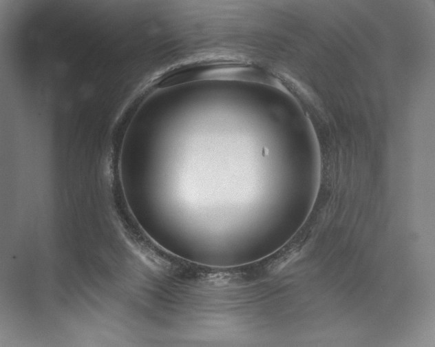 X0000073870064200608101520