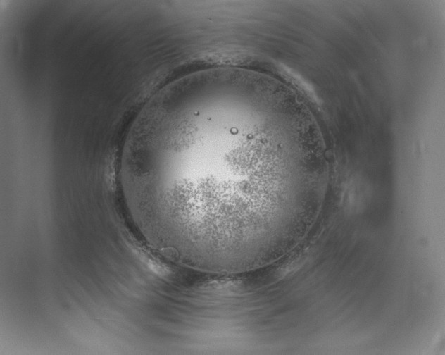 X0000073870065200608101520